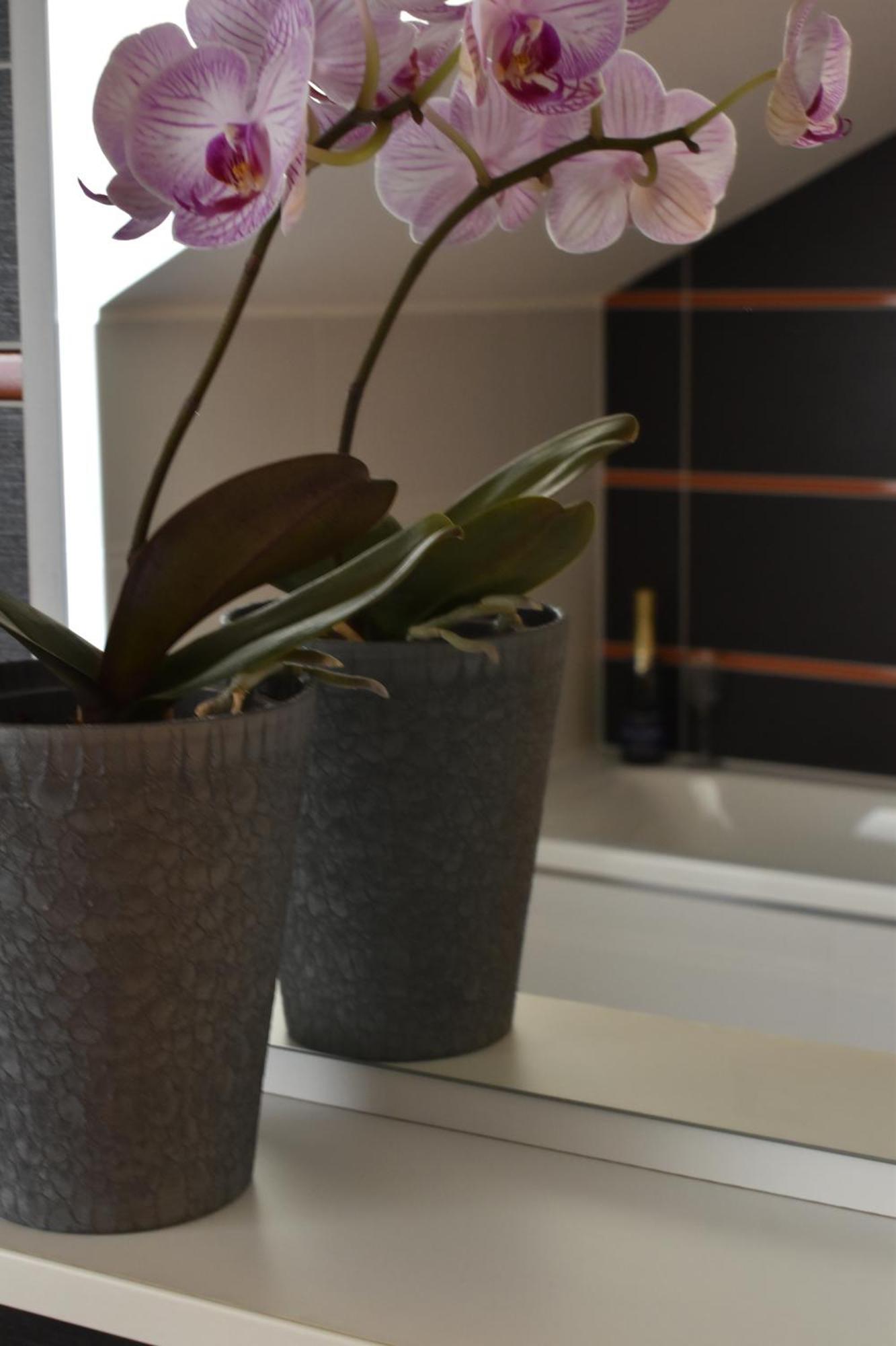 Apartments Verona Karlowe Wary Zewnętrze zdjęcie